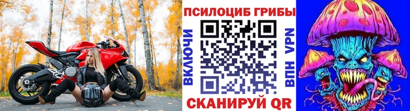 закладка  Лабытнанги  Галлюциногенные грибы Cubensis 